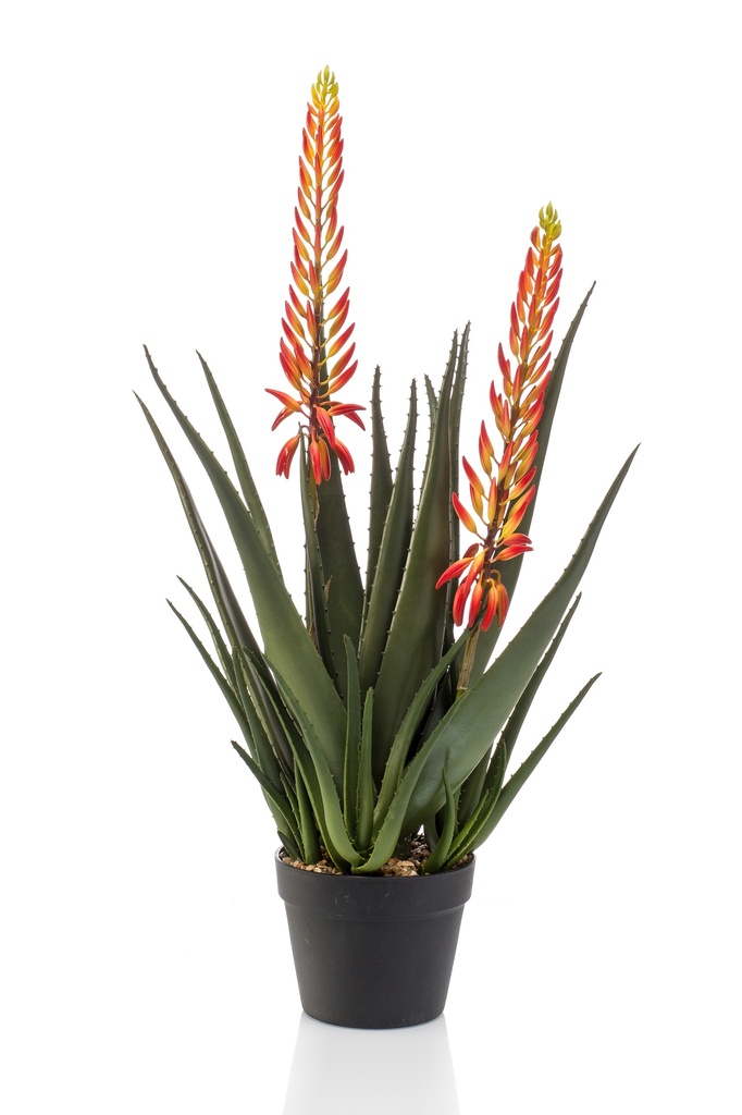 Aloe avec fleurs artificiel