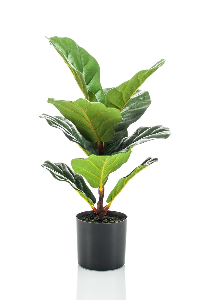Ficus lyrata artificiel