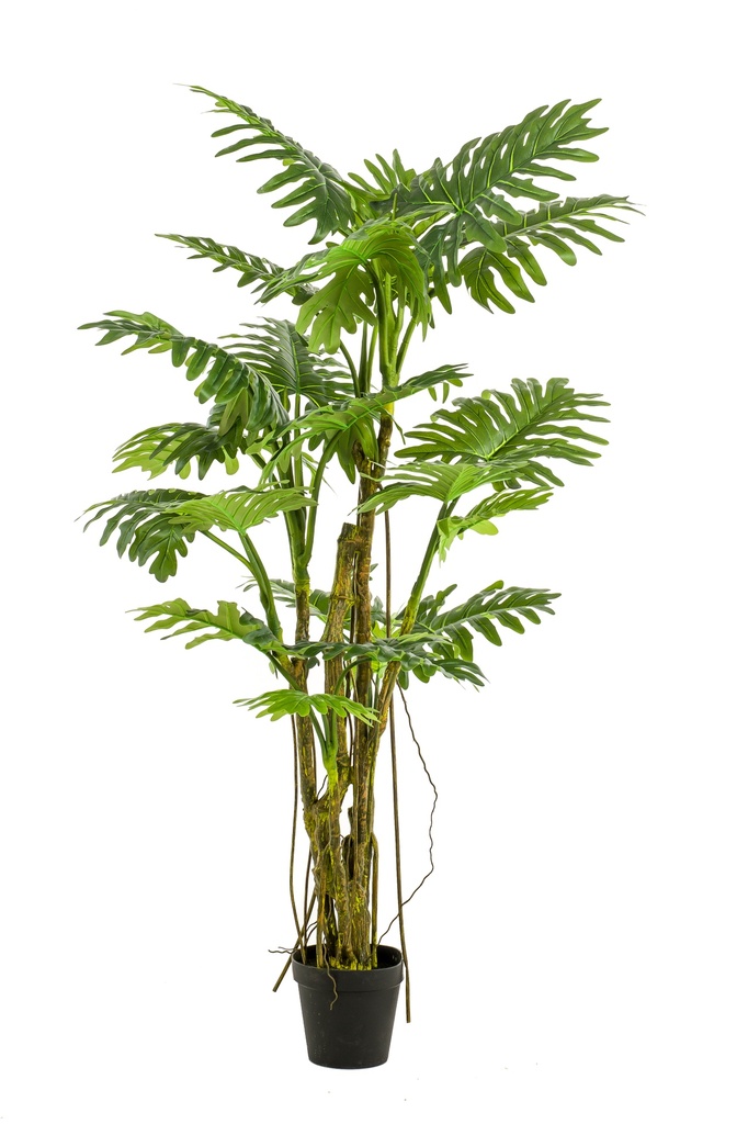Philodendron artificiel