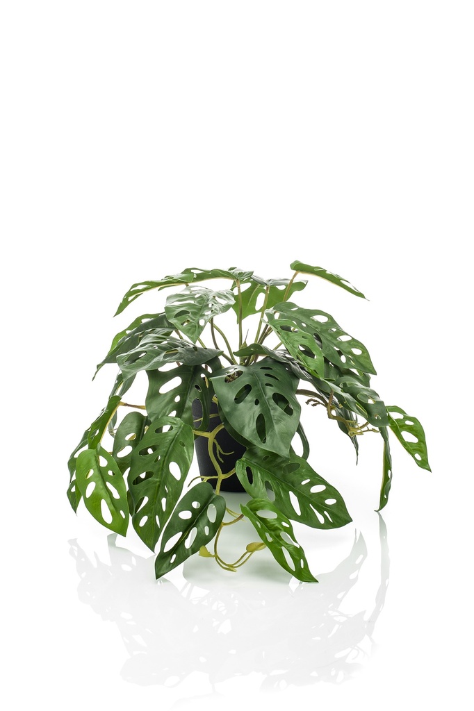 Monsera monkey artificiel