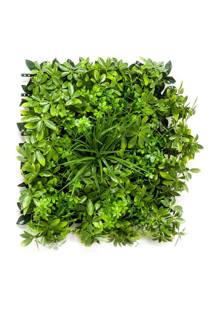 Schefflera en plaque résistant UV artificiel