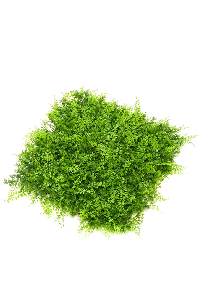 Fougère et Juniperus en plaque UV résistant artificiel