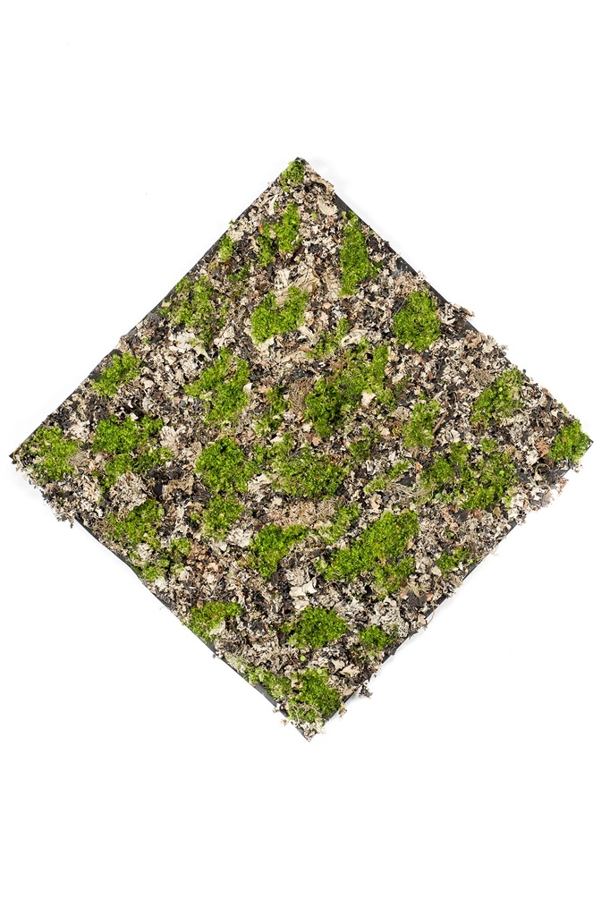 Mousse sèche en plaque