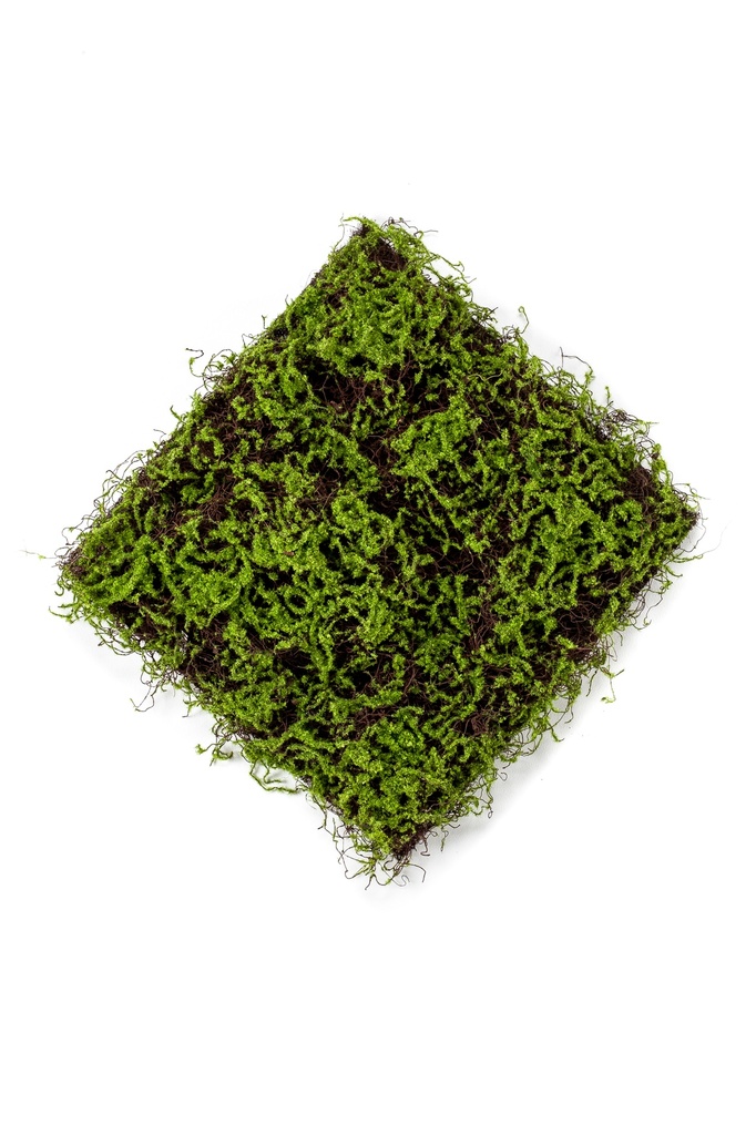 Mousse et herbe en plaque