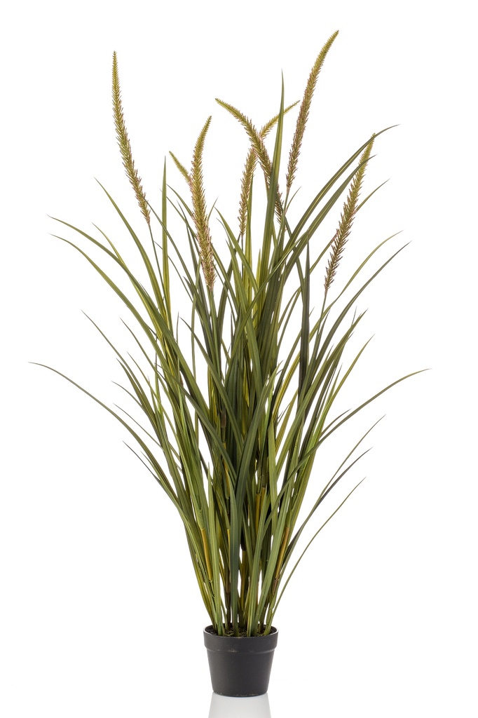 Graminée Foxtail artificielle