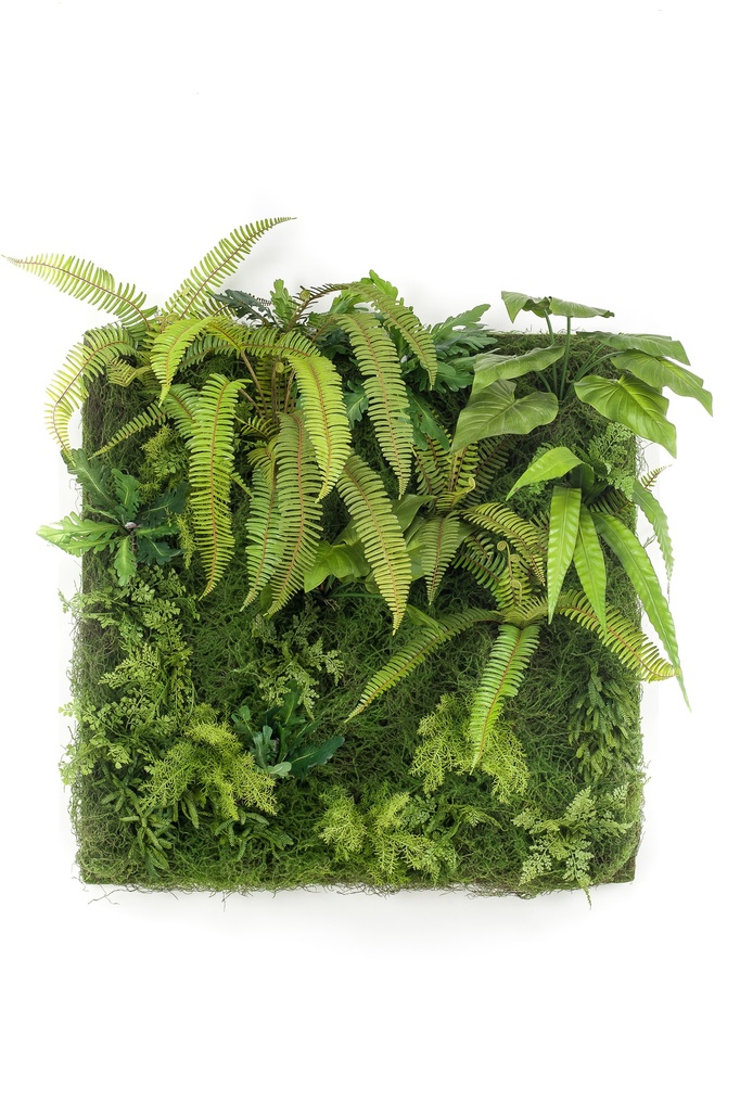 Plantes mix en plaque artificiel