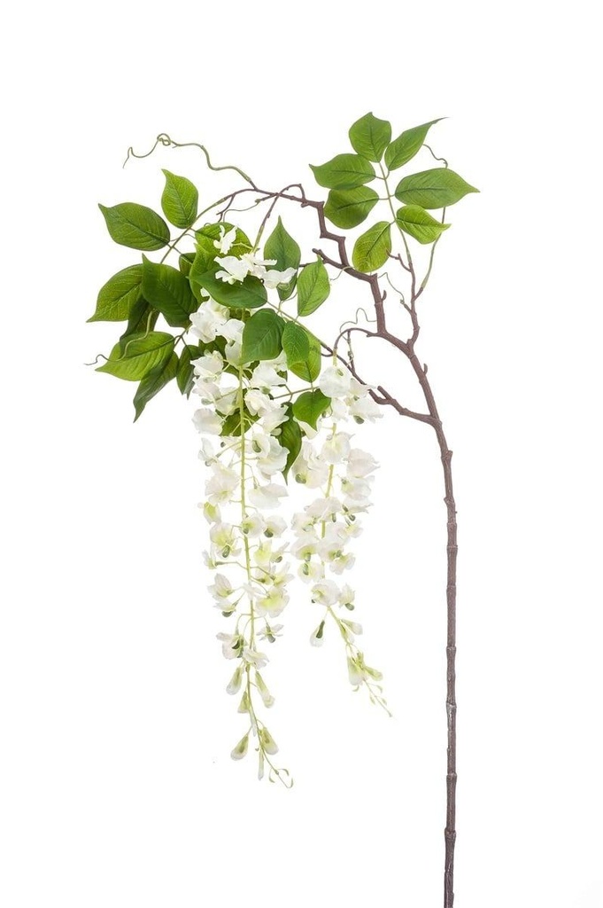 Glycine en branche artificielle