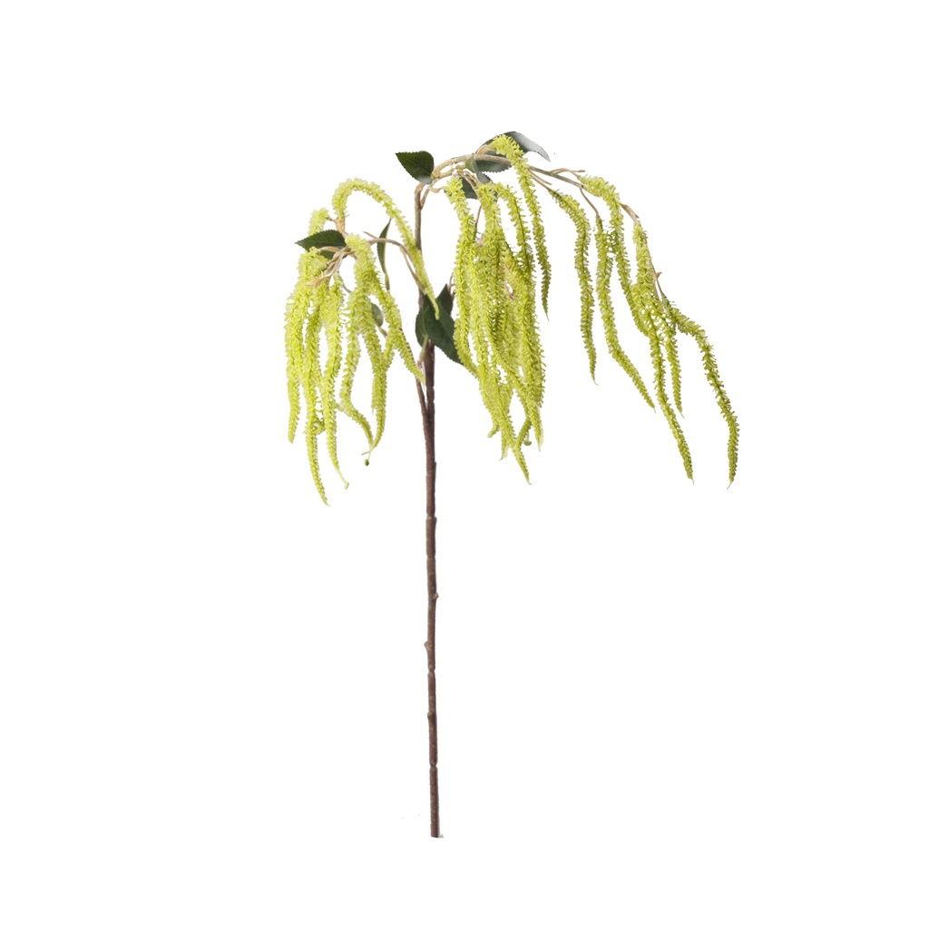 Amaranthe en branche artificielle