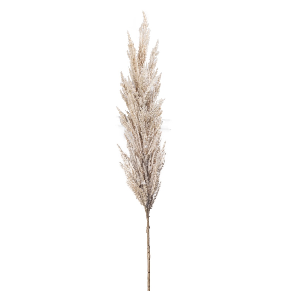 Pampas en branche artificiel